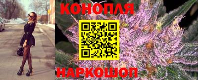 крисы Бузулук
