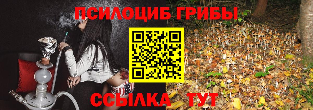 Псилоцибиновые грибы Magic Shrooms Королёв