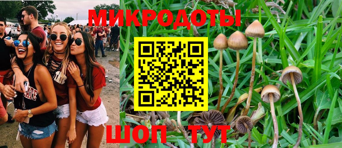Галлюциногенные грибы мухоморы  Псилоцибиновые грибы Psilocybe  купить закладку  Вход с VPN  Королёв 